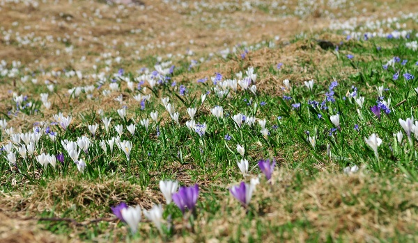 immagine Ambiente e territorio