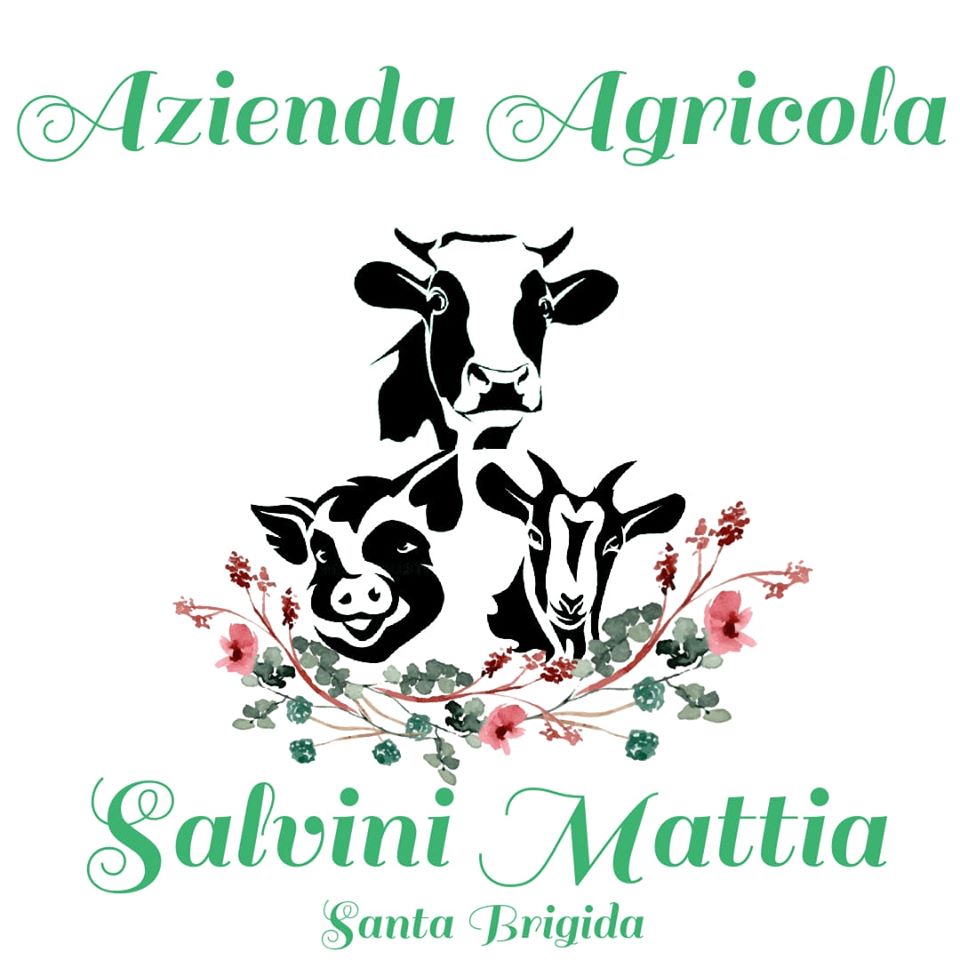 Immagine Azienda Agricola di Mattia Salvini